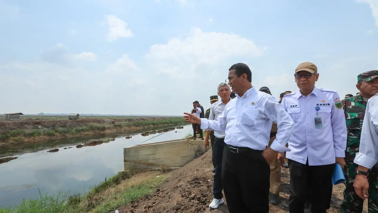 Mentan Targetkan Optimasi Lahan Rawa Naikkan Indeks Pertanaman Jadi 2 Kali Setahun