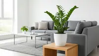 10 Tips Membuat Rumah Terlihat Lebih Modern dengan Tanaman Hias Minimalis
