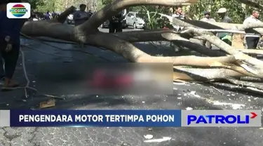 Seorang pengendara sepeda motor tewas, dan satu korban lainnya kritis akibat tertimpa pohon tumbang saat melintas di jalur pantura Hutan Baluran, Situbondo, Jawa Timur.