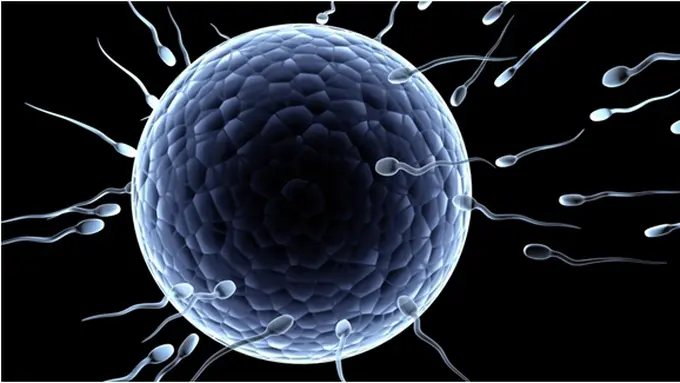 Foto: copyright shutterstock.com