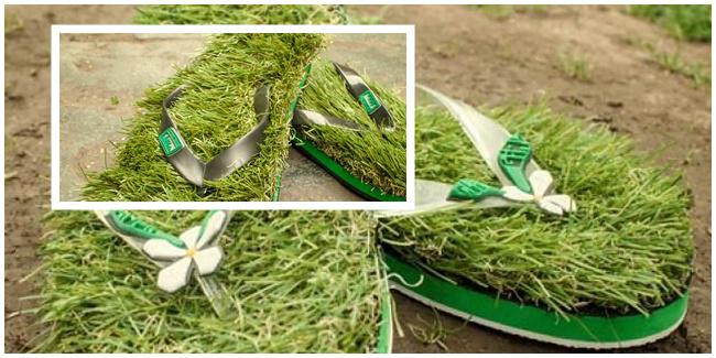 Green Grass Flipflop