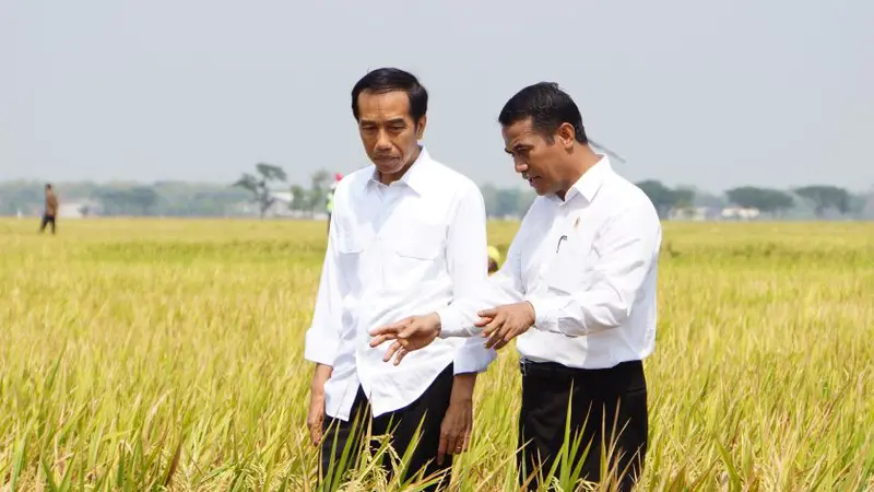 Menteri Pertanian (Mentan) Andi Amran Sulaiman mendampingi Presiden RI Joko Widodo (Jokowi) melakukan panen raya padi di Desa Sonorejo, Kecamatan Sukoharjo, Kabupaten Sukoharjo, Jawa Tengah.