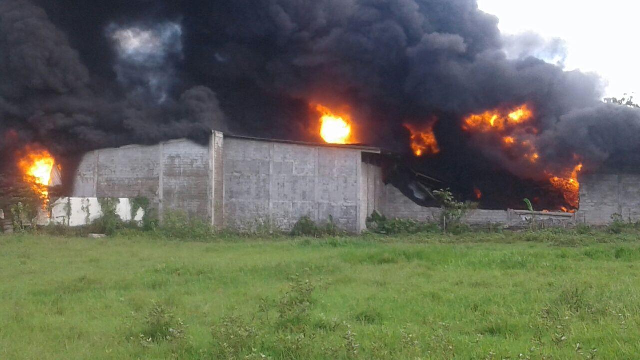 Pramita Tristiawati/Liputan6.com