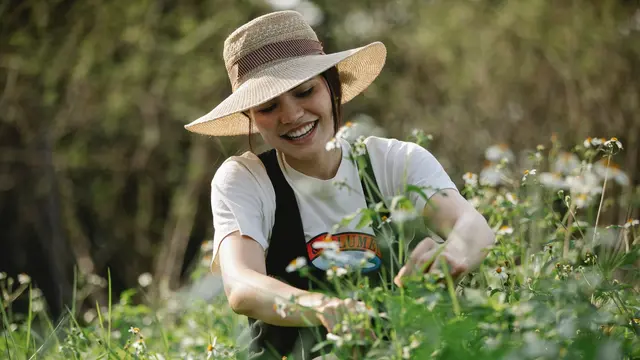 Arti Mimpi Memetik Buah Mangga yang Berhubungan dengan Percintaan
