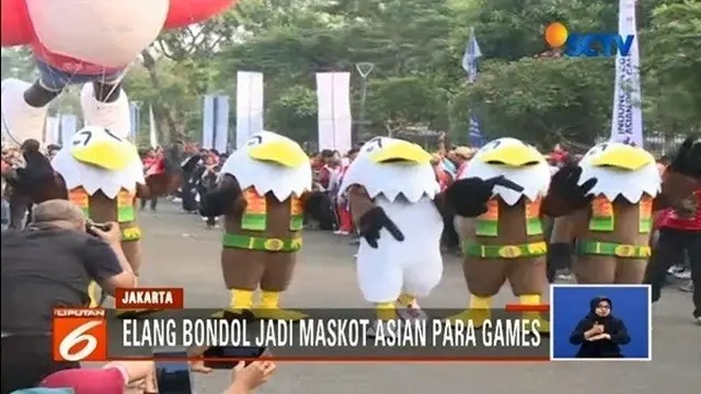 Momo, maskot Asian Para Games 2018 dalam ukuran raksasa, untuk pertama kalinya dipamerkan di hadapan ribuan warga. Yuk, berkenalan dengan Momo si elang bondol!