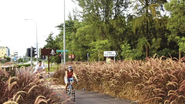 Rekomendasi Destinasi Seru untuk Bersepeda di Singapura