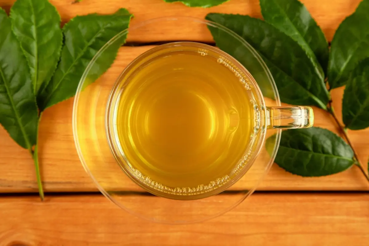 rebusan daun teh