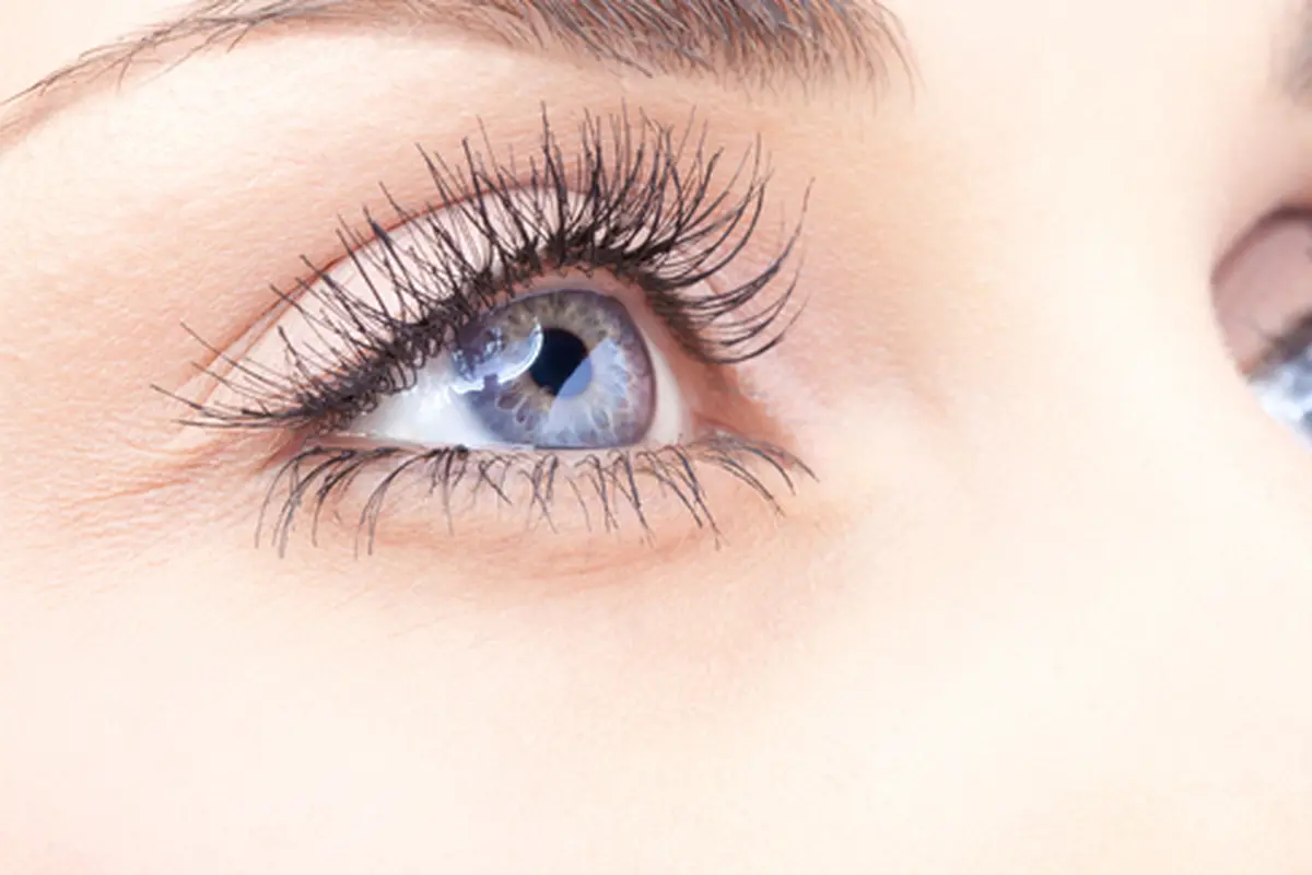 Foto: copyright by shutterstock.com