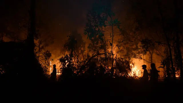 Pemadam Kebakaran Berjibaku Padamkan Karhutla Pekanbaru