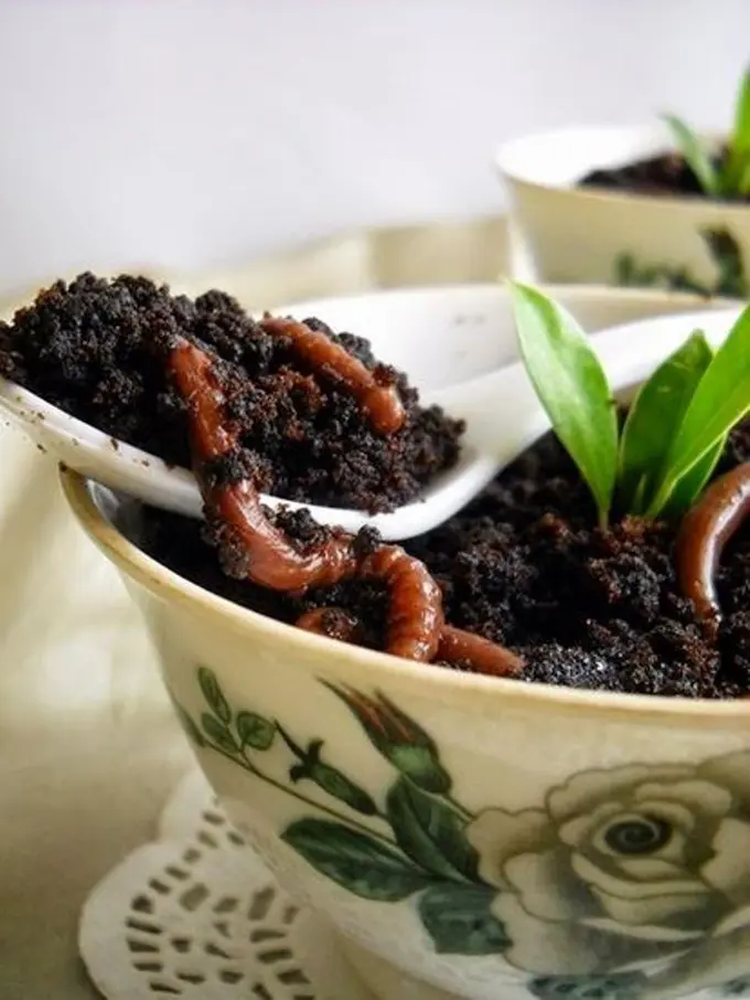 Nikmati Sensasi Baru Makan Es Krim di Pot Bunga Saat Buka Puasa