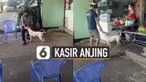 Sementara majikan menyiapkan pesanan, sang anjing ditugaskan sebagai kasir.
