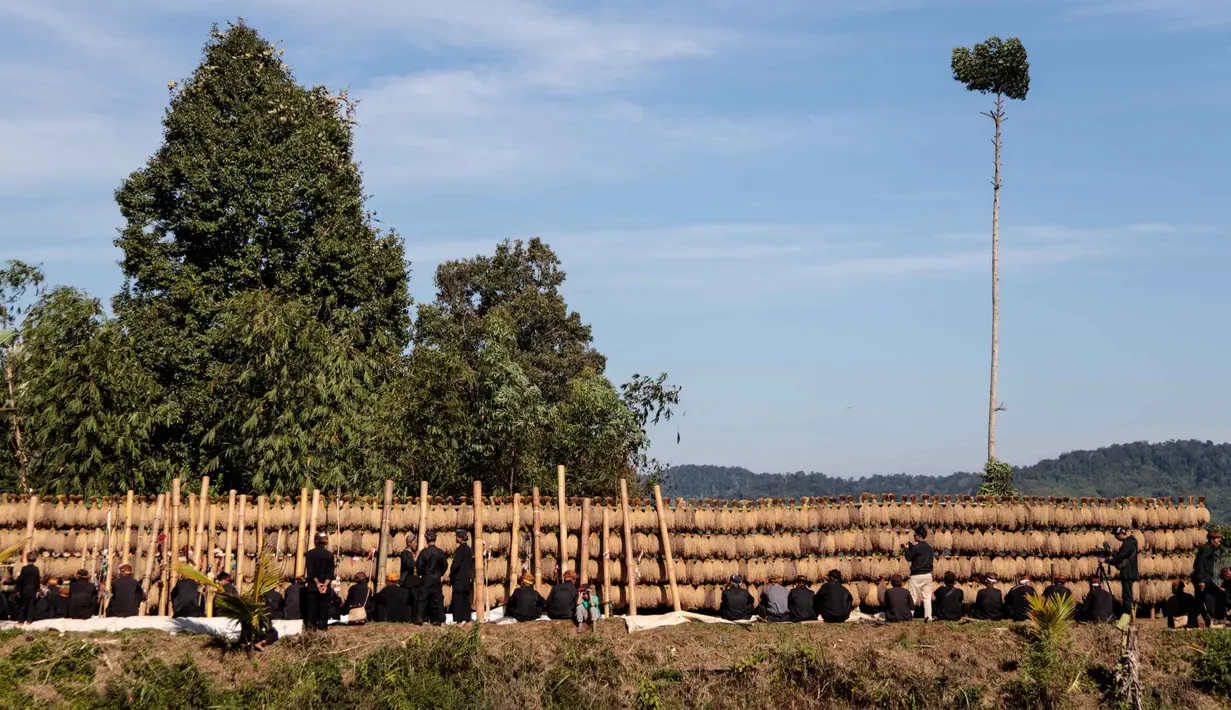 Perayaan panen Seren Taun merupakan tradisi tahunan masyarakat adat Gelar Alam untuk mengungkapkan rasa syukur atas hasil panen yang melimpah. (Aditya AJI/AFP)