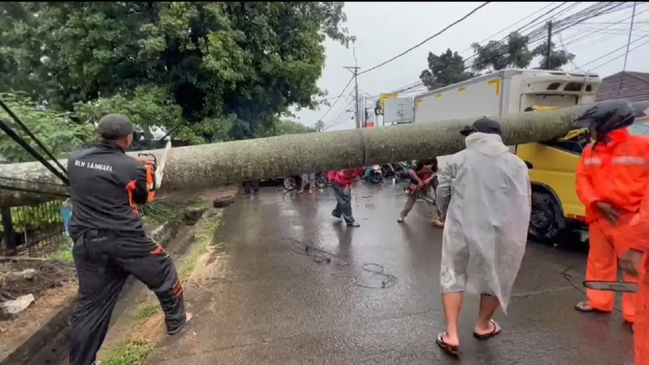 Pohon tumbang yang disebabkan hujan deras disertai angin kencang, menimpa truk dan mobil di Pamulang