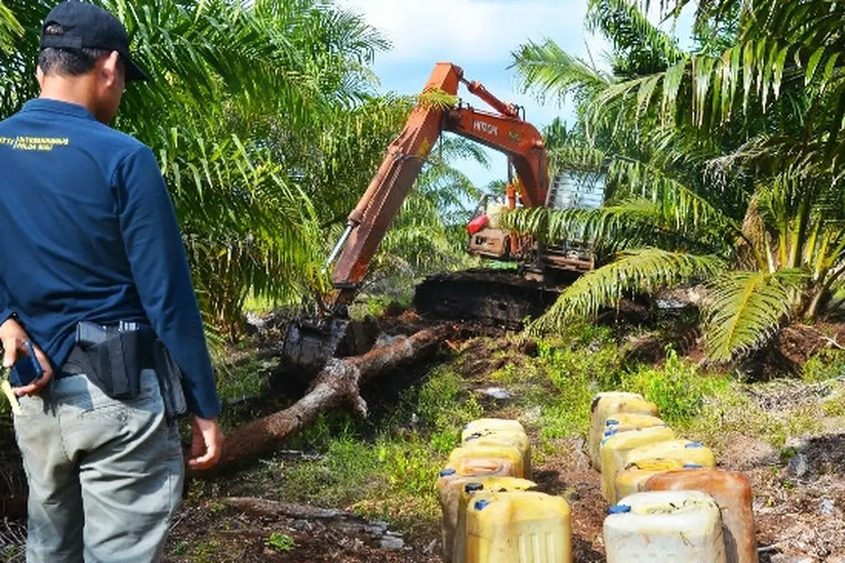 Perambahan hutan di Kabupaten Bengkalis yang pernah diungkap Reskrimsus Polda Riau.