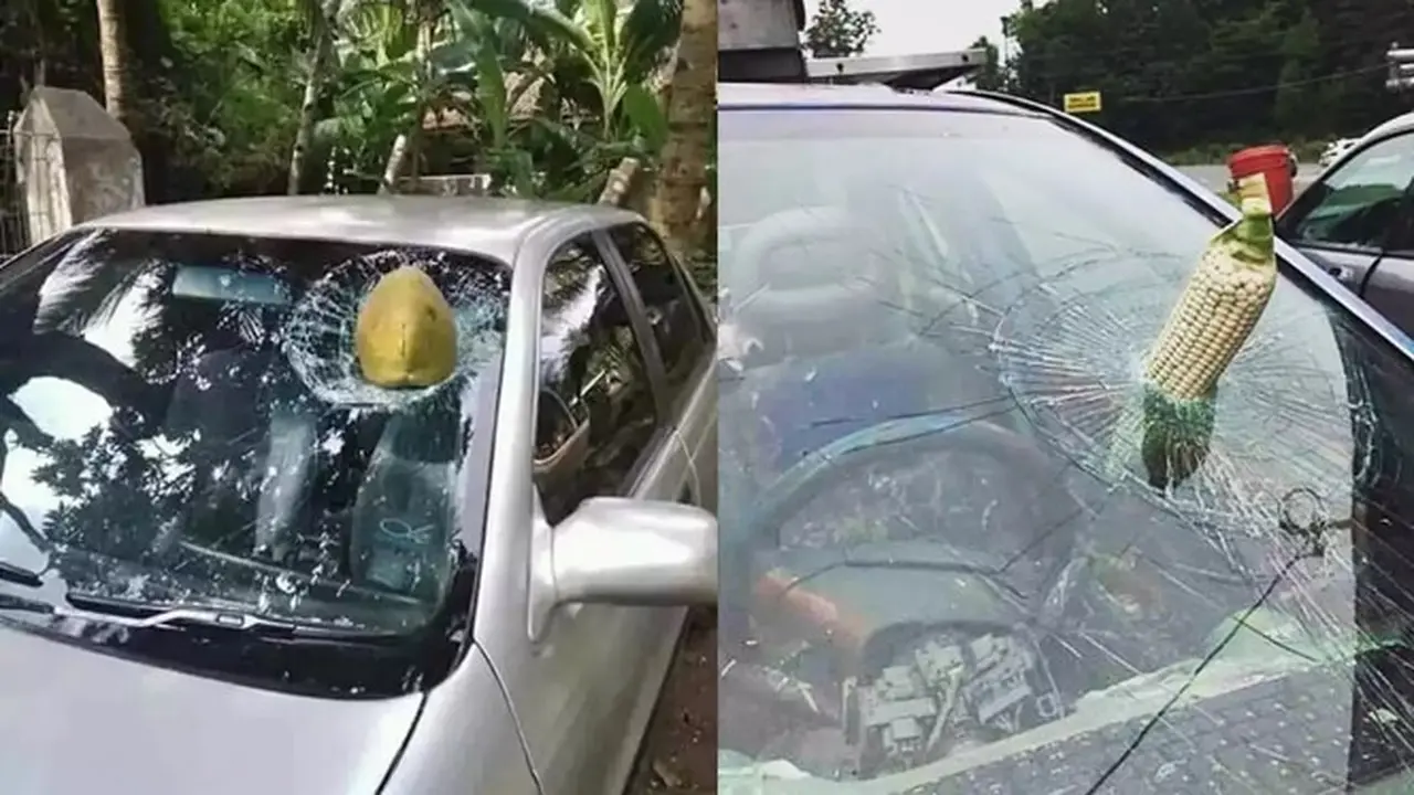 6 Momen Apes Kaca Mobil Pecah Ketiban Benda, Sial Banget