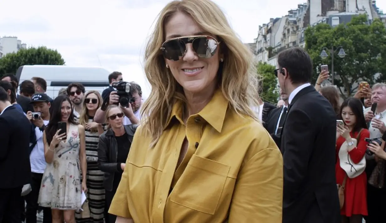 Celine Dion miliki sebuah jet yakni Bombardier Global Express Jet. (AFP)
