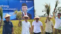 Zulkifli Hasan Jadi Menko Pangan, Perdana Blusukan ke Sawah