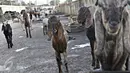 Puluhan kambing berkeliaran di jalur inspeksi Kanal Banjir Barat, Jakarta, Rabu (17/2). Kurangnya ruang terbuka hijau membuat peternak terpaksa mengembalakan hewan ternaknya di tempat yang tidak semestinya. (Liputan6.com/Immanuel Antonius)