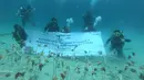 Kegiatan transplantasi terumbu karang di Pulau Pangempa, Kepulauan Togean, Kamis (6/9). Upaya konservasi dan pelestarian kehidupan bawah laut ini menjadi salah satu komitmen kepedulian Pertamina di bidang lingkungan hidup. (Liputan6.com/Pool/Pertamina)