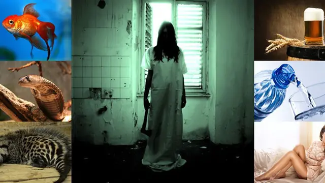 Courtesy Boldsky.com