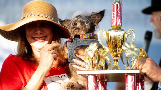 FOTO: Ini Dia Anjing Paling Jelek di Dunia 2019