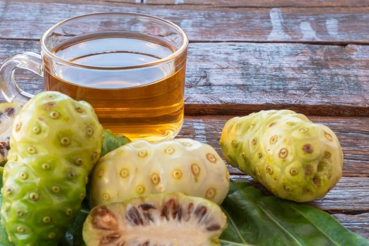 buah mengkudu