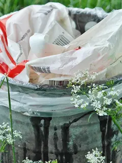 Langkah mudah yang bisa dilakukan keluarga untuk mengurangi sampah di rumah dan mulai hidup lebih ramah lingkungan. (Foto: RitaE/Pixabay)