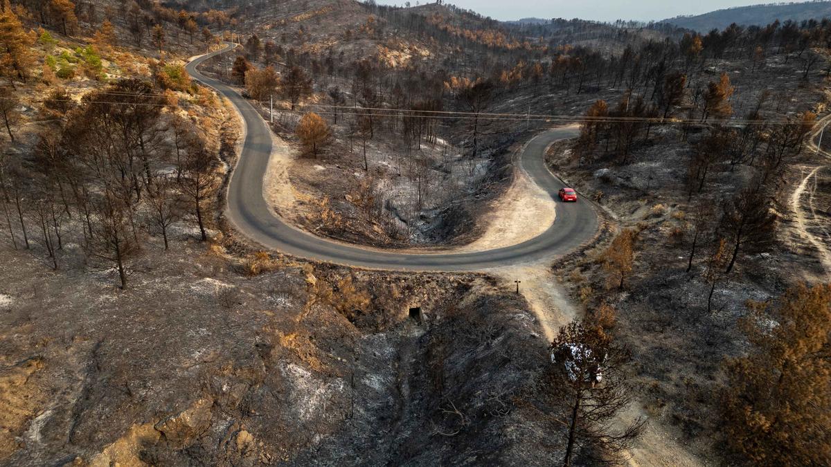 Potret Kehancuran Hutan di Prancis Pasca-Kebakaran Hebat