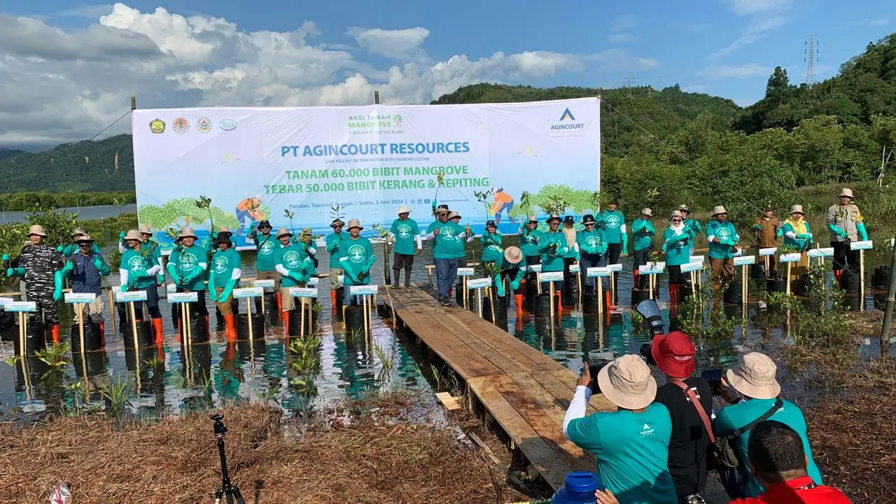 PT Agincourt Resources menggelar Aksi Tanam Mangrove sebanyak 60.000 bibit dan menebar 50.000 bibit kerang dan kepiting. Aksi ini diberi tajuk “Dari Hati Untuk Bumi”. (Deon/Liputan6.com)