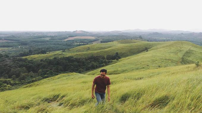 Rimpi, Cantiknya Bukit Teletubbies di Kalimantan Selatan ...