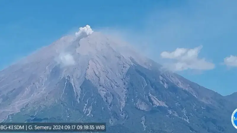 Gunung Semeru Kembali Erupsi Dengan Ketinggian Letusan Mencapai 500 meter (Istimewa)