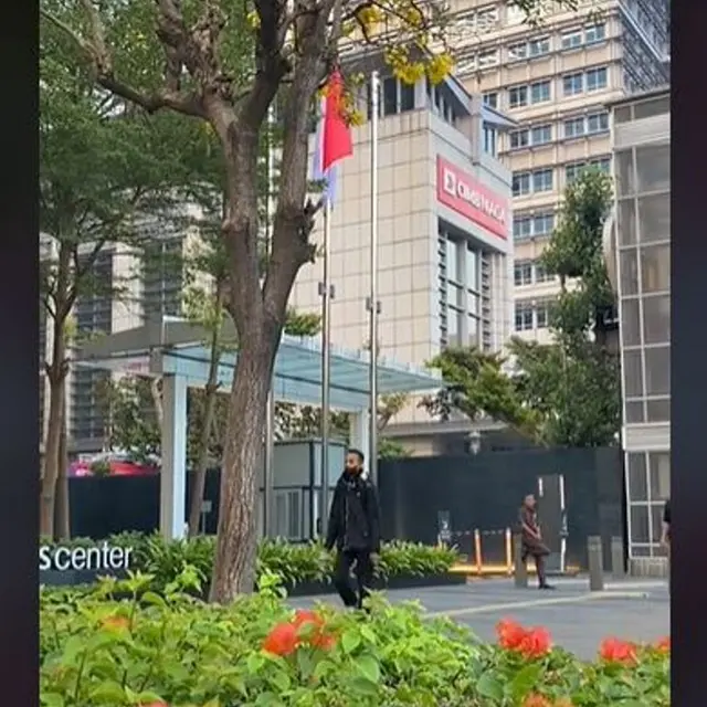 Bunga Tabebuya Bermekaran di Kawasan Jalan Sudirman, Jakarta Pusat