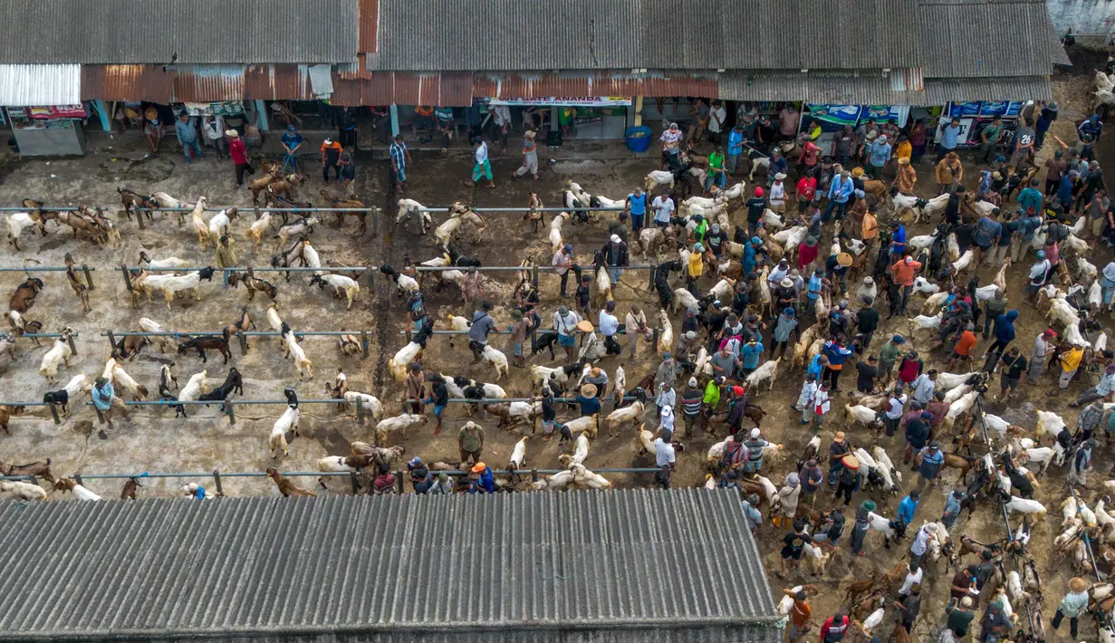 Foto udara menunjukkan kambing-kambing yang dijual di pasar ternak menjelang hari raya Idul Adha, di Ambarawa, Jawa Tengah pada Sabtu 16 Mei 2026. (DEVI RAHMAN/AFP)
