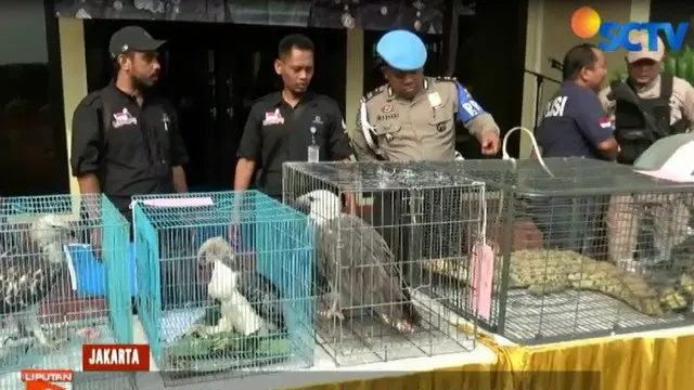 Polisi Tangkap 5 Remaja Penjual Satwa Langka