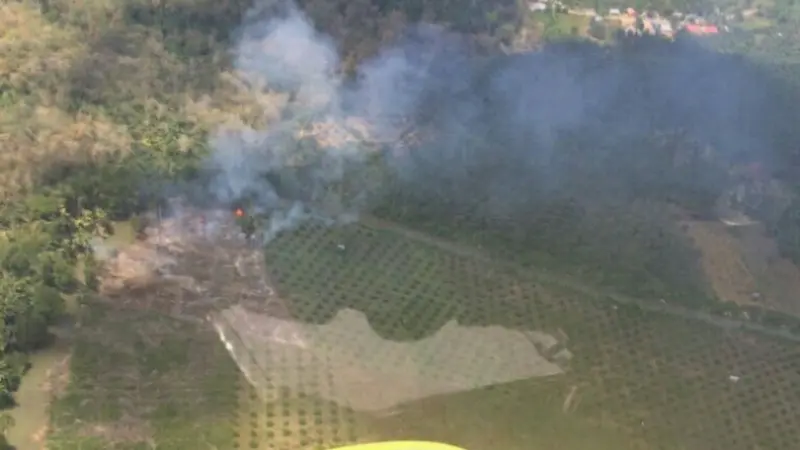 Kerbakaran Hutan di Riau