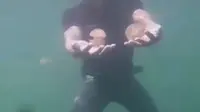 Serunya Berenang Bersama Ubur-ubur Jinak di Danau Paisu