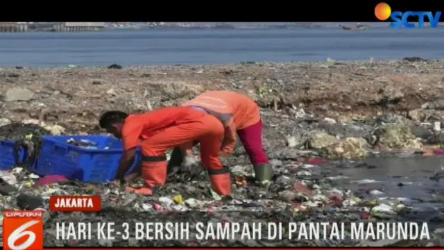 Petugas Terus Bersihkan Sampah dari Bibir Pantai Marunda