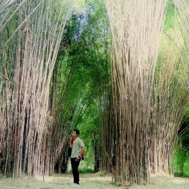 Ingin Wisata Alam Di Surabaya Yuk Kunjungi 4 Tempat Ini