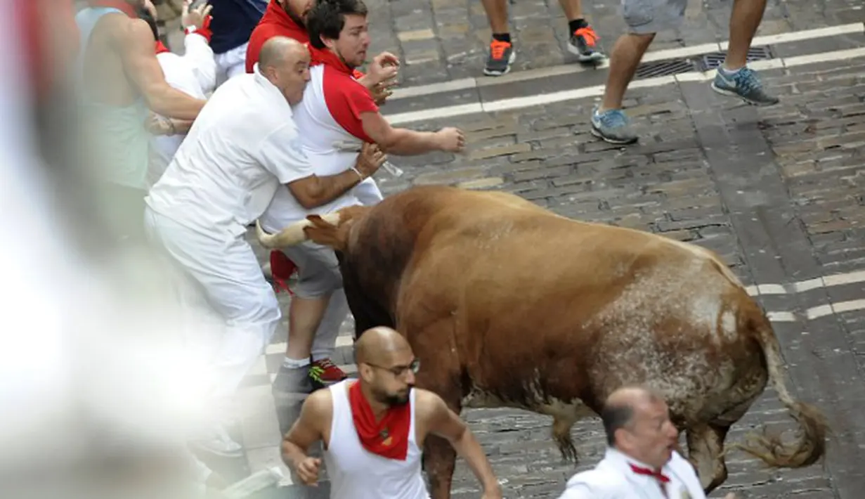 Banteng-banteng ini mengamuk karena merasa disakiti dan dimainkan oleh peserta Run Bull dalam Festival San Fermin di Pamplona (10/07/2014) (AFP PHOTO/Ander GILLENEA)