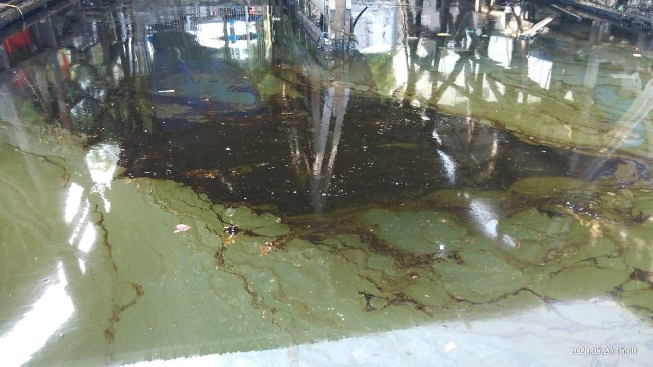 Pencemaran Pantai Losari