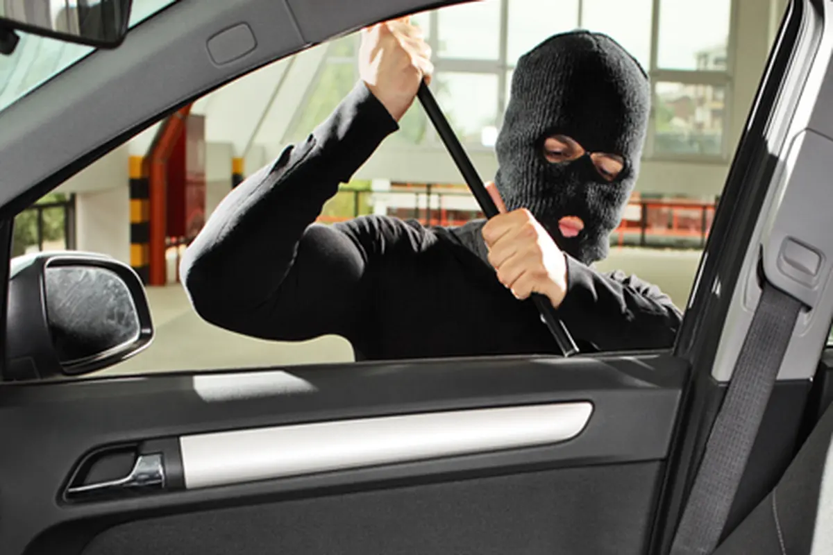 courtesy shutterstock