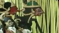 Bajaj Bertenaga BBG Terbakar hingga Wayang Terbuat dari Kayu