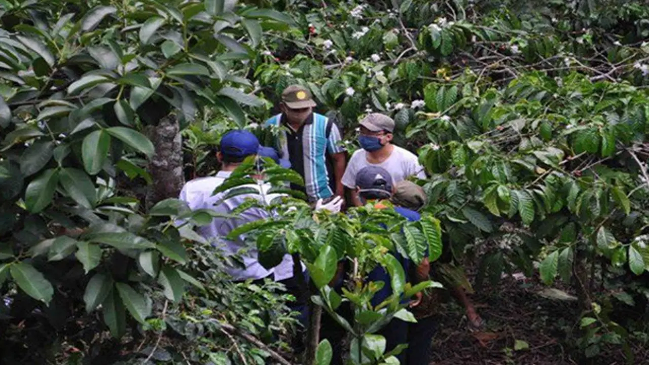 Momentum Hari Tani Nasional, Kementan Dorong Petani Milenial