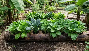 7 Cara Menanam di Batang Pisang untuk Menghasilkan Sayuran Subur dan Ramah Lingkungan