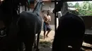 Pekerja mengeluarkan kuda delman di Perkampungan kuda Rawa Badung, Jakarta, Rabu (1/9/2021). Pengukuran berat badan kuda delman bantuan sembako dilakukan oleh Jakarta Animal Aid Network (JAAN). (merdeka.com/Imam Buhori)