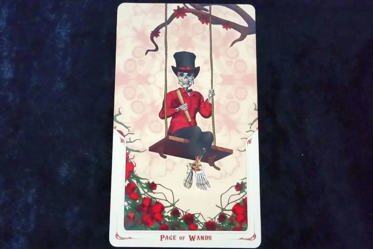 Tarot