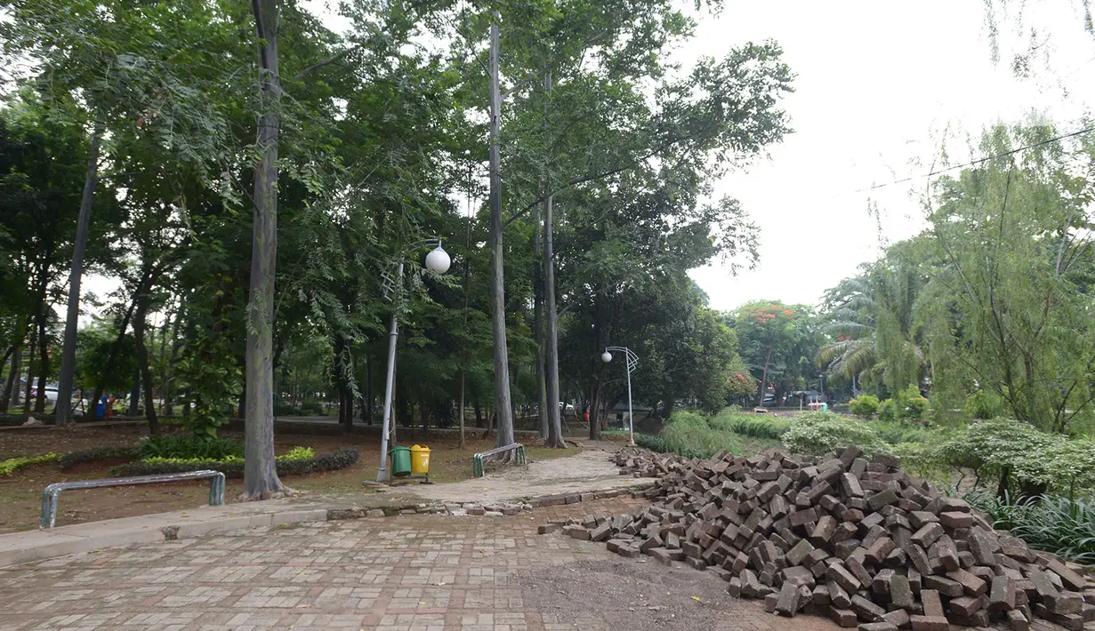 Kondisi Taman Tebet, Jakarta, Rabu (4/11/2020). Pemprov DKI juga akan menjadikan Taman Tebet Eco Garden, taman yang memiliki visi mengembalikan fungsi taman secara ekologi, menjadi sarana interaksi, edukasi, dan rekreasi bagi masyarakat DKI Jakarta. (merdeka.com/Imam Buhori)