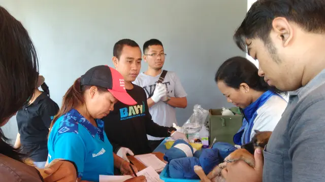 Aduh, 400-500 Orang di Bali Terjangkit Rabies Tiap Bulan