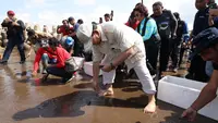 Ketua Umum Partai Gerindra Prabowo Subianto bersama mantan Menteri Kelautan dan Perikanan Susi Pudjiastuti dalam acara pelepasan anak penyu di Pantai Pangandaran, Jawa Barat, Senin (17/7/2023). (Tim&nbsp;Humas Prabowo)