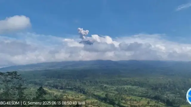 Gunung Semeru erupsi, tinggi letusan capai 700 mter (Istimewa)